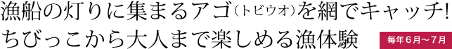 お釈迦様の誕生を祝う花まつり。花を敷き詰めた巨大な仏画は圧巻です。